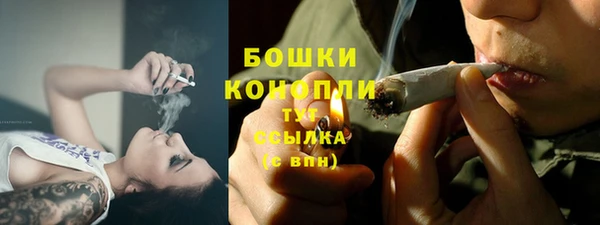 молекула духа Фурманов