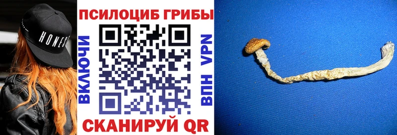 Галлюциногенные грибы MAGIC MUSHROOMS  Купить закладки  Певек 